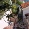 Appartamenti Dubrovnik 4032, Dubrovnik - Cortile